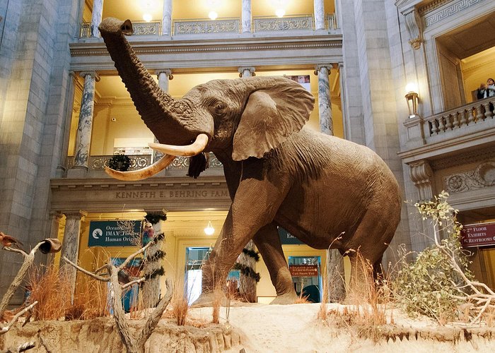 Smithsonian Museums set to Close Sunday for Remainder of Shutdown