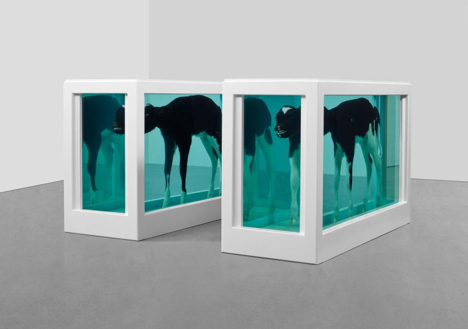 Damien Hirst accused of backdating Artworks