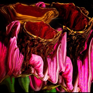 Geert Lemmers (Belgium °1968) "Golden Calyx Flower"