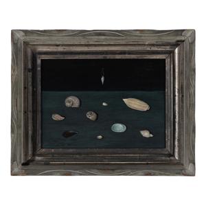 From $30 Estate Sale Discovery to $1.35 Million: Abercrombie’s Shells Sets New Auction Record