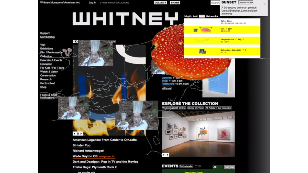 The Complexities of the Digital Art Shift