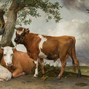 Conservation of Paulus Potter’s The Bull Successfully completed