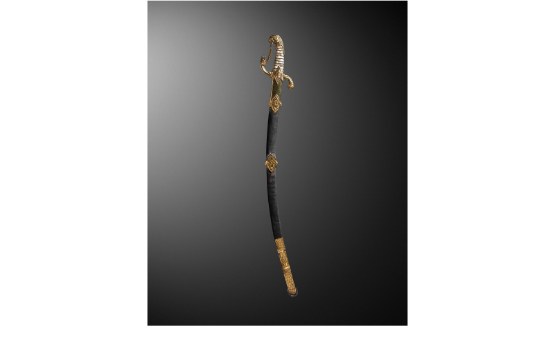 A Sword Once owned by Napoleon to be auctioned in Paris