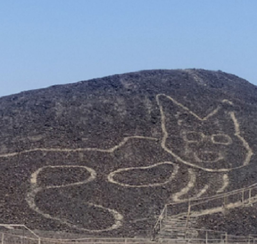 Nazca Lines: New Giant Geoglyph of Feline Discovered in Peru