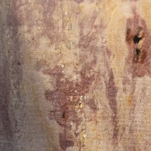 Rare hieroglyphic copy of Canopus Decree unearthed in Sharqiya, Egypt