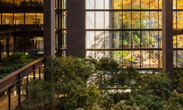 Ford Foundation and The Andrew W. Mellon Foundation Announce Disability Futures Fellows