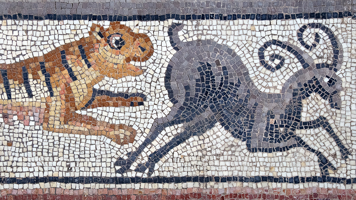 UNC-Chapel Hill-led Archaeological dig in Galilee Uncovers Mosaics of Samson 