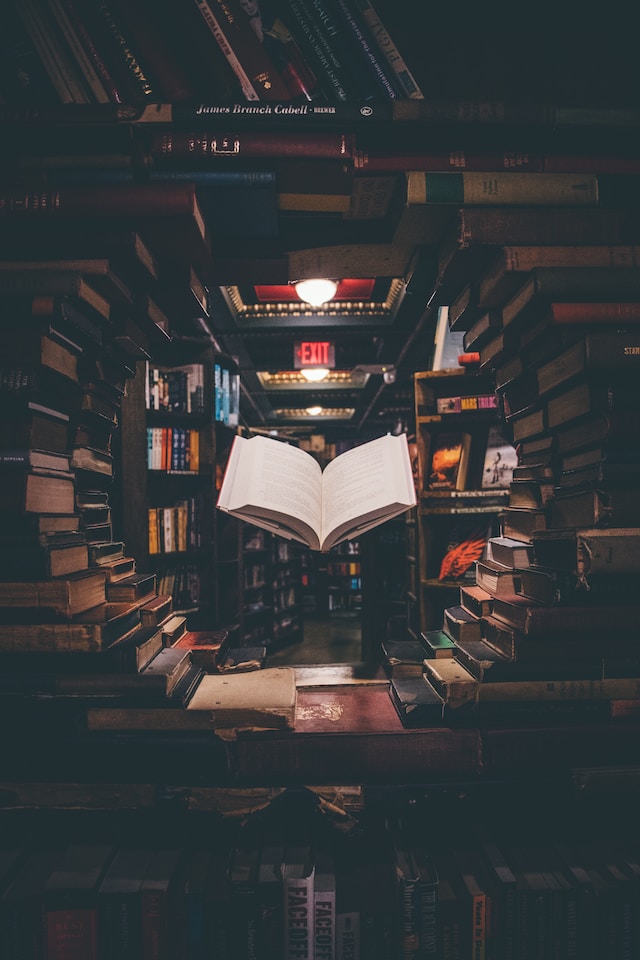 Literary Hidden Gems: 5 Lesser-Known Must-Reads for Students