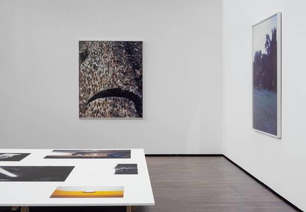Deutsche Börse Photography Foundation to Reopen this Saturday