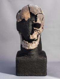 The Life of a Stone Age Man has been mapped