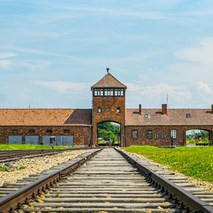 Germany halts Holocaust Artifacts Auction 