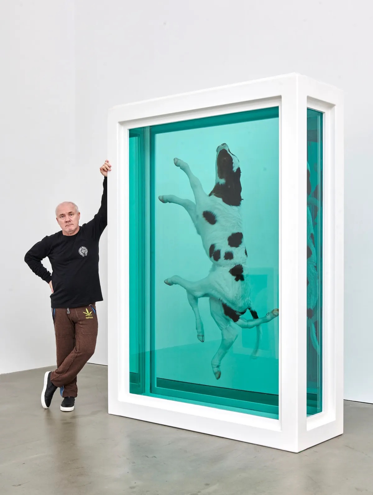 Damien Hirst to Take Over the Château La Coste Estate