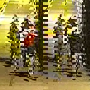 More than 600 ‘High Value’ British Empire Artefacts stolen at Bristol Museum 