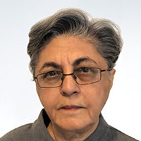 Video Artist Nalini Malani Awarded Japan’s $700,000 Kyoto Prize