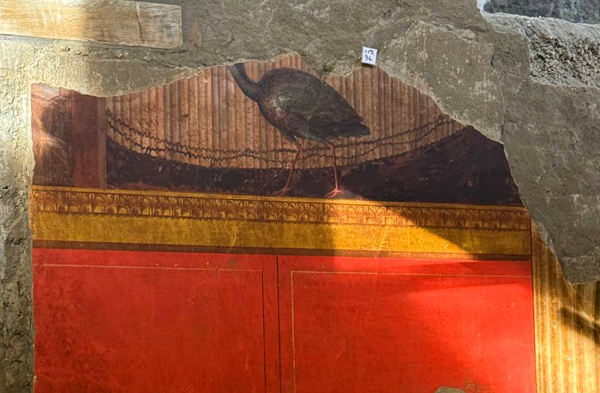 Frescoes uncovered in Italy’s Villa Poppaea, Pompeii