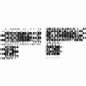 Sound Biennale returns to Swiss