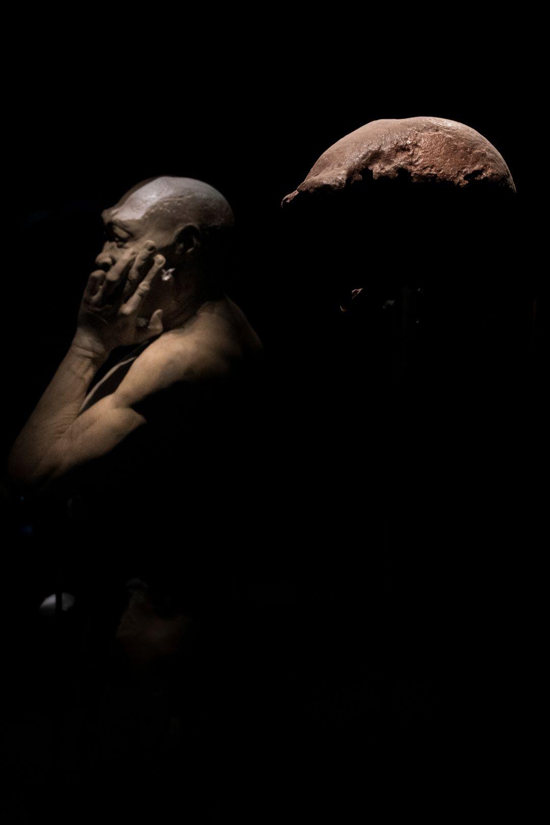 The Netherlands to return Dubois Collection Fossils to Indonesia