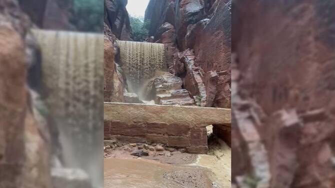 Tragedy in Jordan: Two Belgian Tourists found Dead, 1,700 evacuated from UNESCO Site Petra