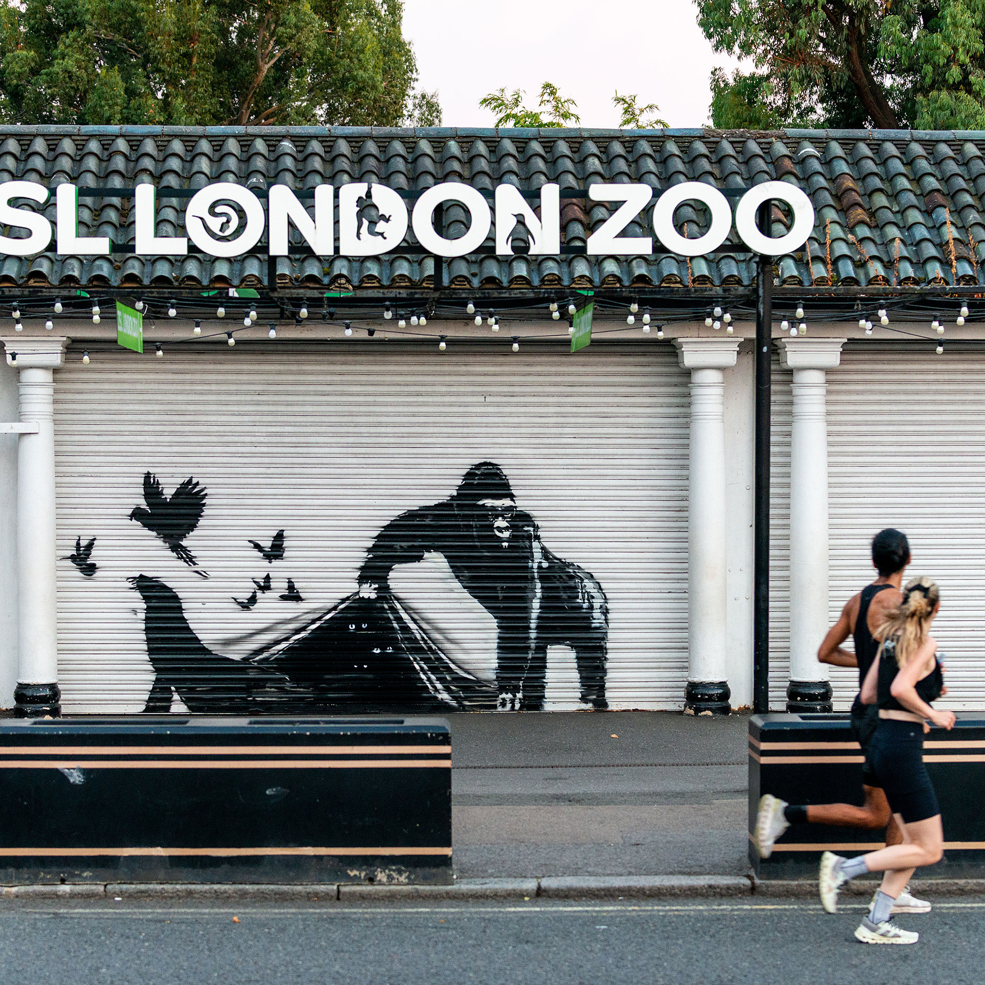 Banksy's 8-th Work in 8 Days appears on London Zoo Gates