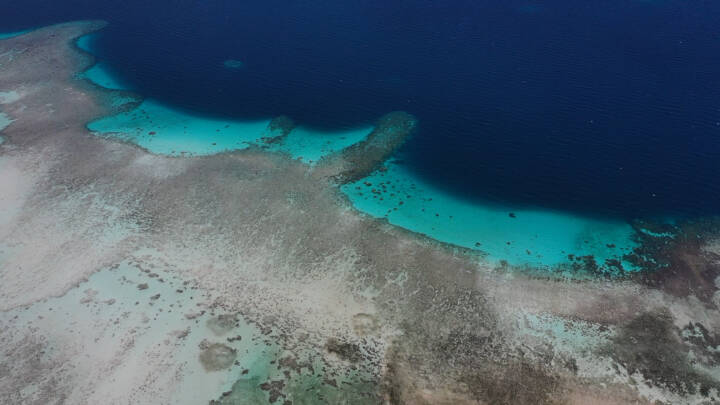  International Arts Expedition sets Sail for the Marshall Islands