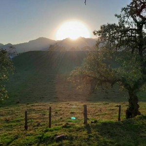 2,500-Year-Old Solar Observatory Confirmed in Mexico