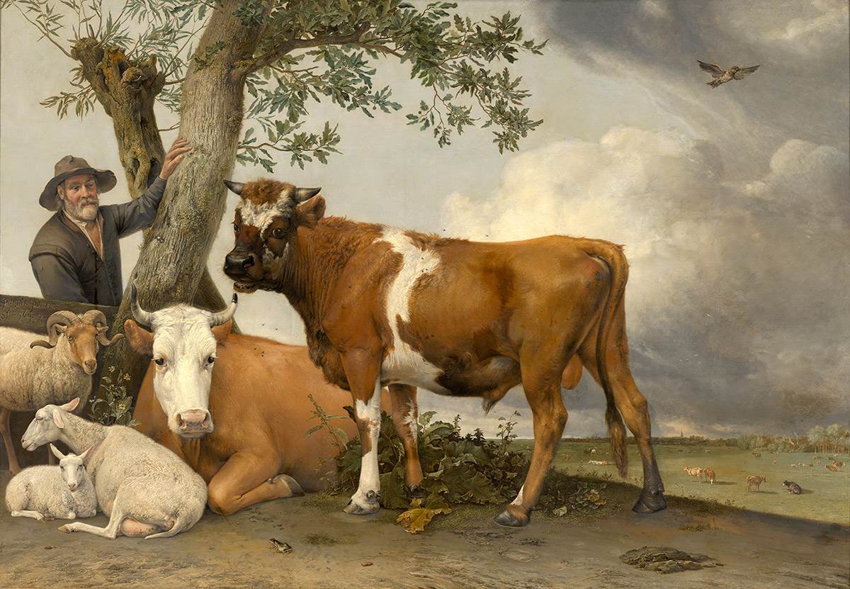 Start of Examination and Restoration Paul Potter’s The Bull in Mauritshuis, The Hague